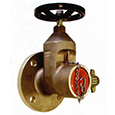 fire hydrant gate valve